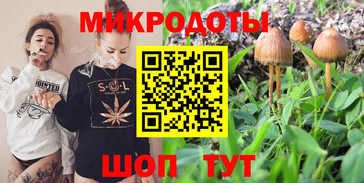 Псилоцибиновые грибы прущие грибы Ковров